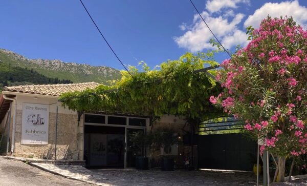 Lefkada: Olive Museum Fabbrica Ticket and Guided Tour - Customer Reviews