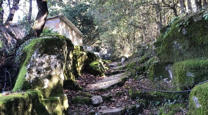 Lefkada: Path of Springs Hike with Olive Oil Tasting - Discovering Lefkada’s Hidden Natural Jewels