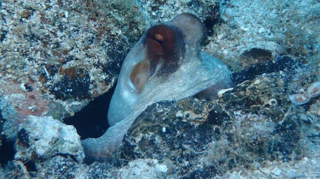 Lefkada to Lefkada 7 Day Scuba Diving Sailing Tour - Additional Tips