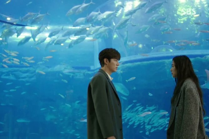 Legend of the Blue Sea & Running Man - Main Characters and Plot Summary