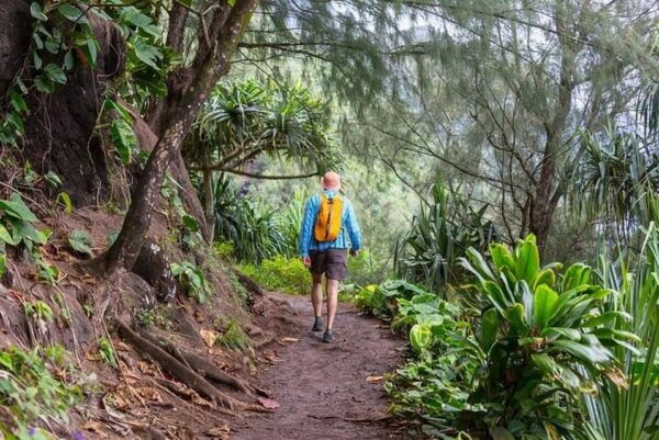 Legendary North Shore Loop in Oahu: Audio Tour Guide - Entrance Fees and Guided Tours
