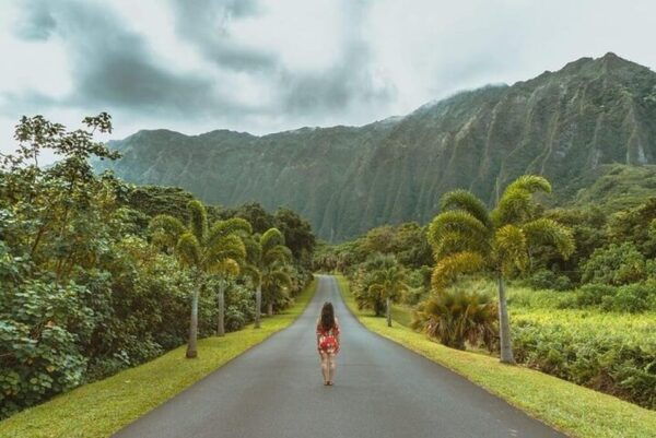 Legendary North Shore Loop in Oahu: Audio Tour Guide - Frequently Asked Questions
