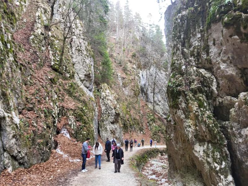 Legendary Transylvania - best version - The Experience: What to Expect