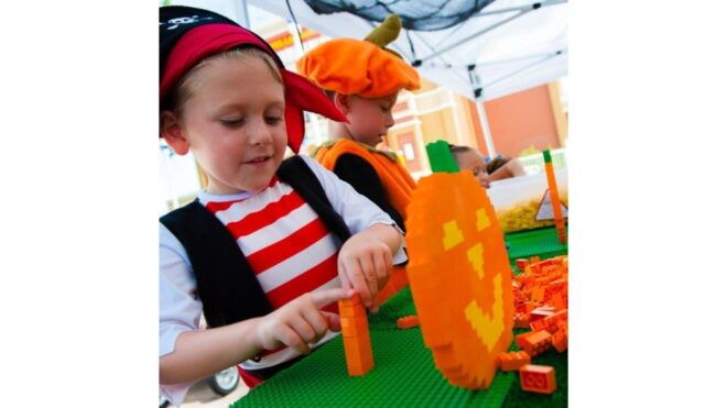 LEGOLAND California Resort: Theme Park 1-Day Admission - Participant and Date Information