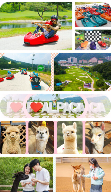 LEGOLAND, Gangchon Rail Bike & Alpaca World Day Tour from Seoul - Who should book this day trip