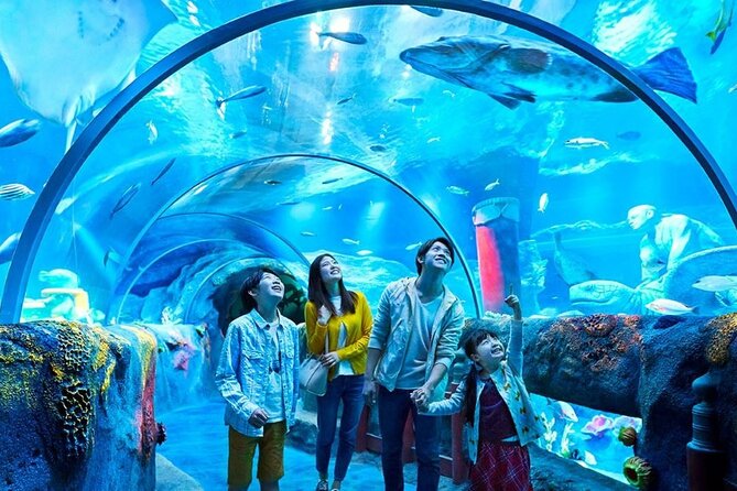 Legoland Malaysia Day Tour With Singapore Hotel Pickup (Via Drive-Thru Border) - Terms and Conditions
