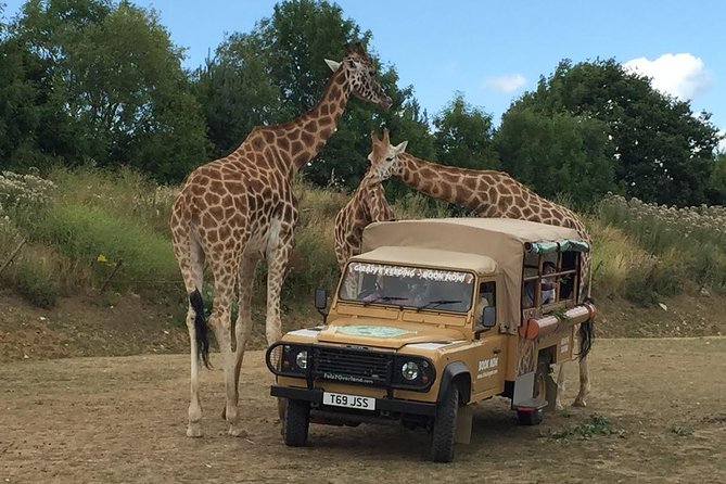 Legoland, Thorpe Park, or Chessington Ticket and Transport - London - Ticket Options