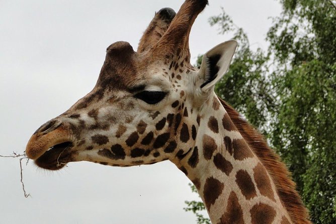 Legoland, Thorpe Park, or Chessington Ticket and Transport - London - Additional Services and Amenities