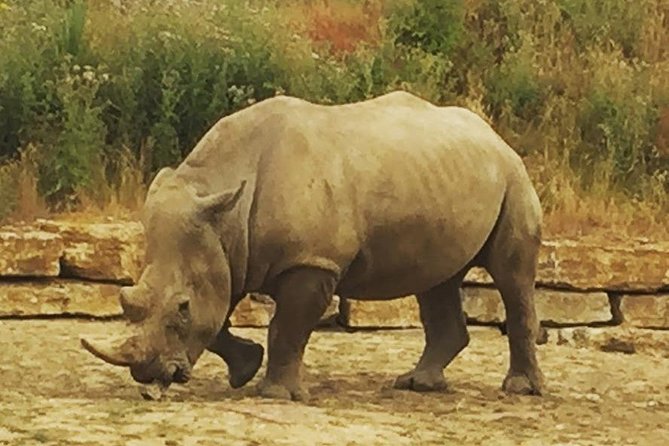 Legoland, Thorpe Park, or Chessington Ticket and Transport - London - The Sum Up