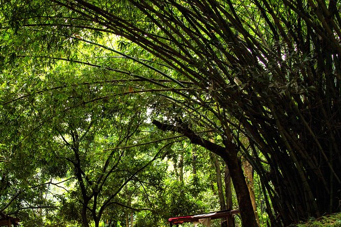 Legon & Aburi Gardens Tour - Good To Know