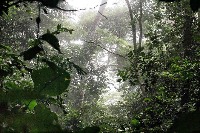 Legon & Aburi Gardens Tour - Tour Activities