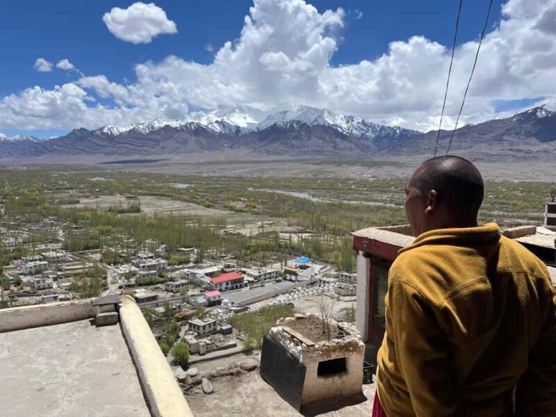 Leh Full-Day Expedition with (Thicksey - Shey and Hemis) - The Sum Up: Who Is This Tour Best For?