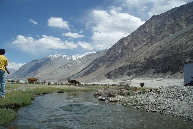 LEH LADAKH TOUR (6 Nights /7 Days) - Inclusions and Exclusions
