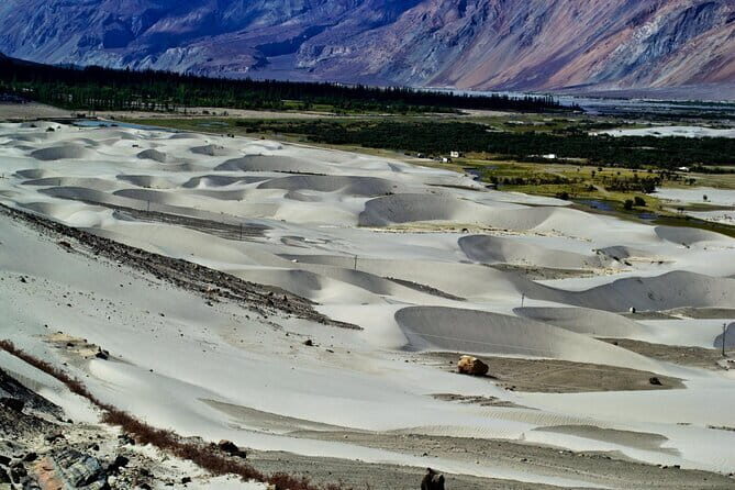 Leh to Nubra Valley Private Tour - Exploring the Details of the Leh to Nubra Valley Tour