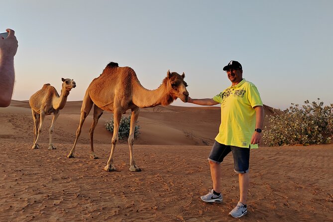 Lehbab Sunrise Desert Safari Dubai - Common Questions