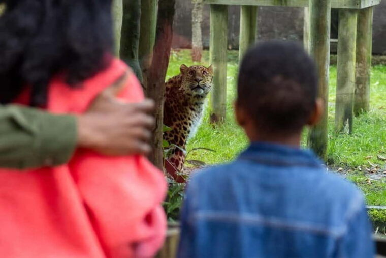 Leicestershire: Twycross Zoo Entry Ticket - Who Will Enjoy This Tour?