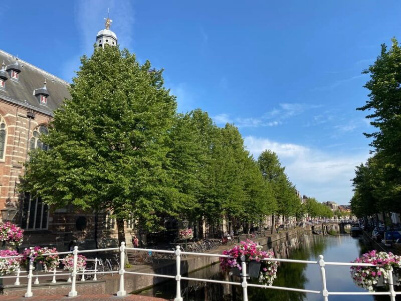 Leiden: Historical private guided tour from Amsterdam - Why Choose This Tour? An In-Depth Look