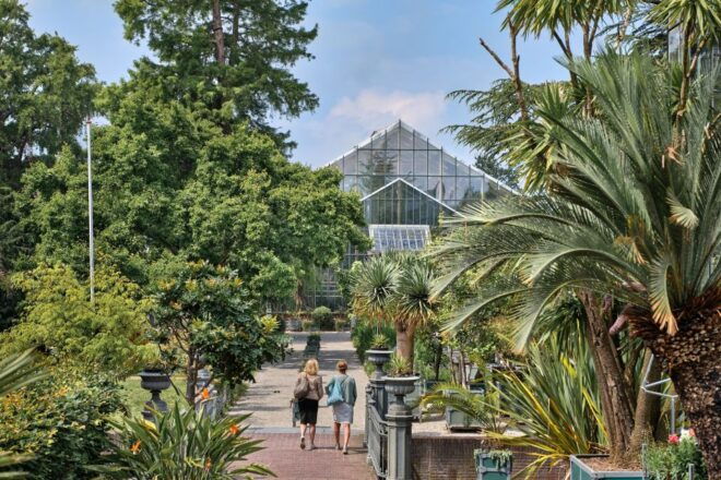 Leiden: Hortus Botanicus Entry Ticket - Collection Highlights