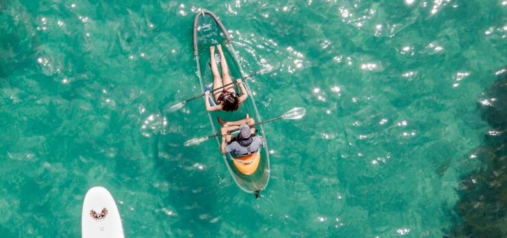 Leigh: Goat Island 60-Minute Clear Kayak Rental - Activity Details