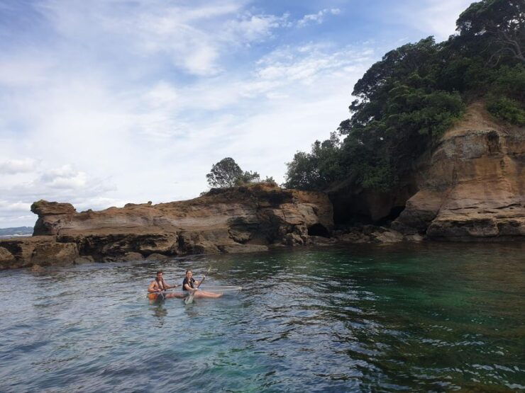 Leigh: Goat Island 60-Minute Clear Kayak Rental - Experience Highlights