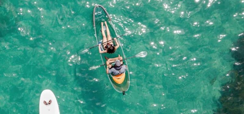Leigh: Goat Island Clear Kayak Rental - Introduction: The Charm of a Clear Kayak Adventure in North Island, New Zealand