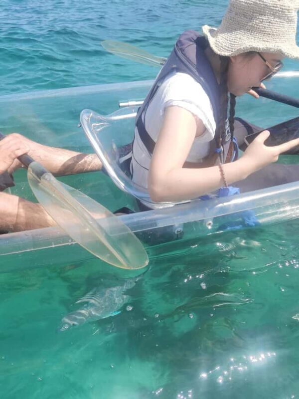 Leigh: Goat Island Clear Kayak Rental - Final Words