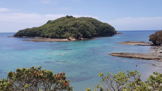 Leigh: Goat Island Guided Snorkeling Tour for Beginners - Restrictions