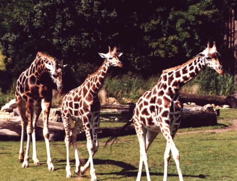 Leipzig: 3-Hour Bike Tour - Itinerary Breakdown