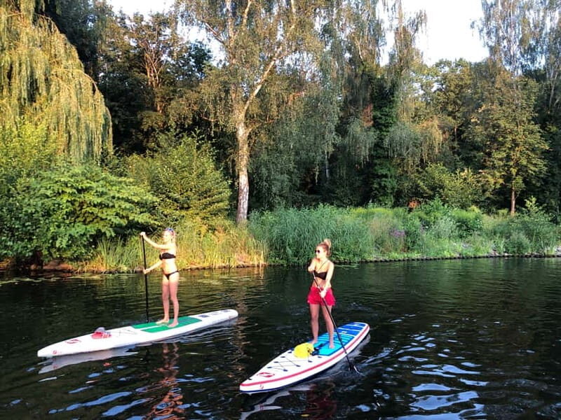 Leipzig: Cospudener Lake Stand-Up Paddleboard Course - What to Expect During the Paddleboard Course