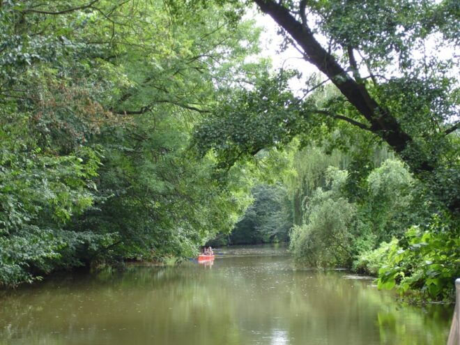 Leipzig: Floodplain Forest & City River Cruise - Customer Reviews and Ratings