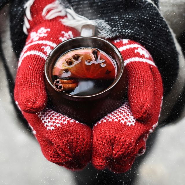 Leipzig: Mulled Wine Motorboat Tour - Activity Details