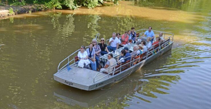 Leipzig: Riverside Forest Tour on the Pleiße - Activity Details
