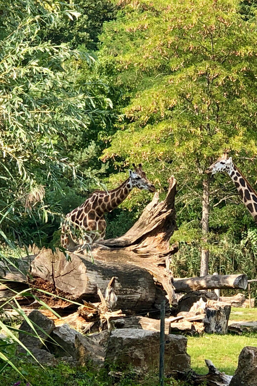 Leipzig: Segway Tour - Explore City, Zoo & a Stunning View - FAQ