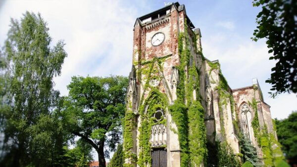 Leipzig Vicinity: HopOn HopOff Tour + Boat Tour & City Walk - Tips for Your Visit