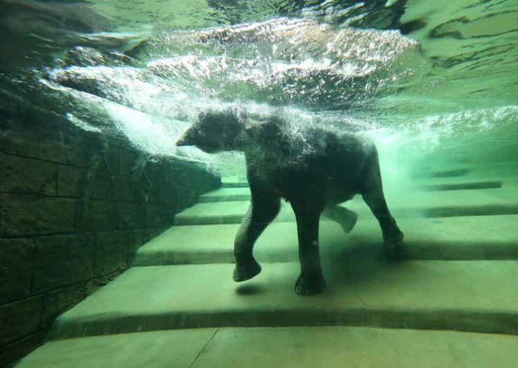 Leipzig: Zoo Admission Ticket - Zoo Thematic Worlds