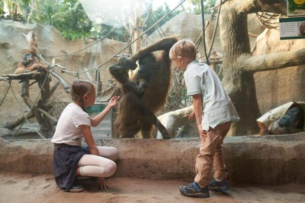 Leipzig: Zoo Admission Ticket - Accessibility Features