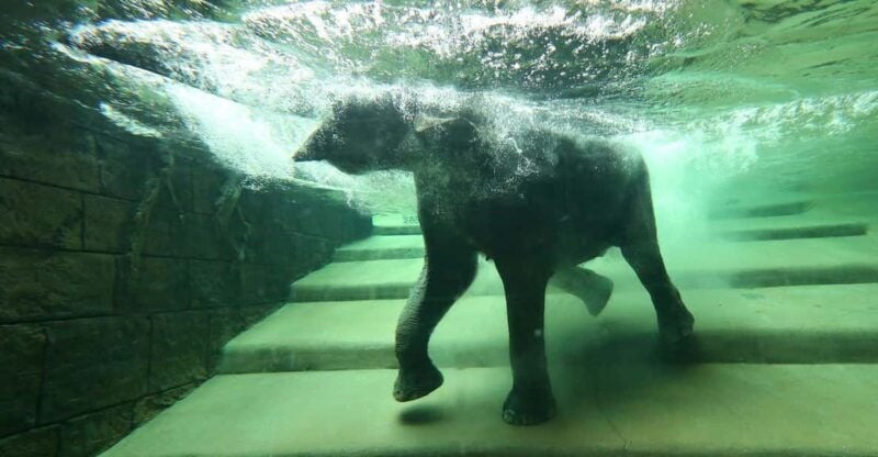 Leipzig Zoo: Entry Ticket - Good To Know