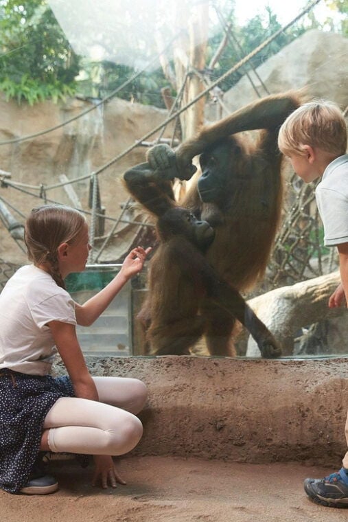 Leipzig Zoo: Entry Ticket - Final Thoughts