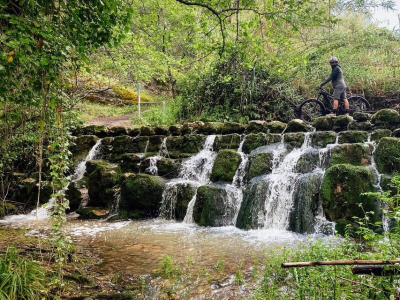 Leiria E-bike and Castel tour - Who Will Love This Tour?