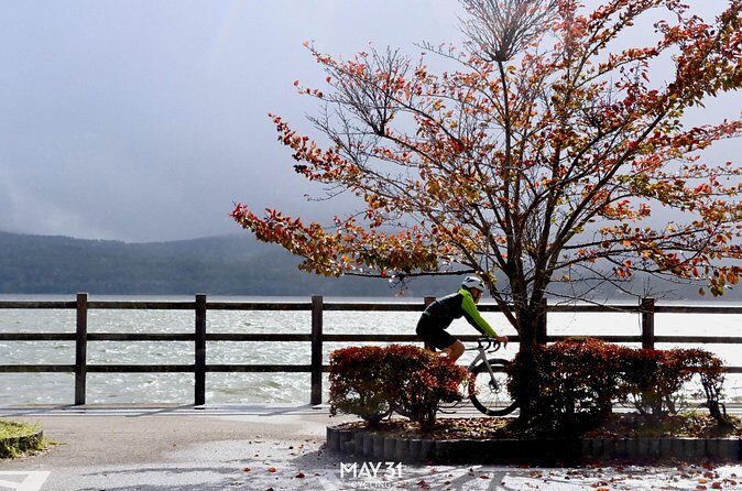 Leisure Cycling Tour Around Mt. Fuji's Five Lakes - Practical Considerations and Value