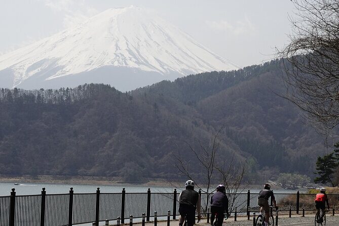 Leisure Cycling Tour Around Mt. Fuji's Five Lakes - What Makes This Tour Stand Out?