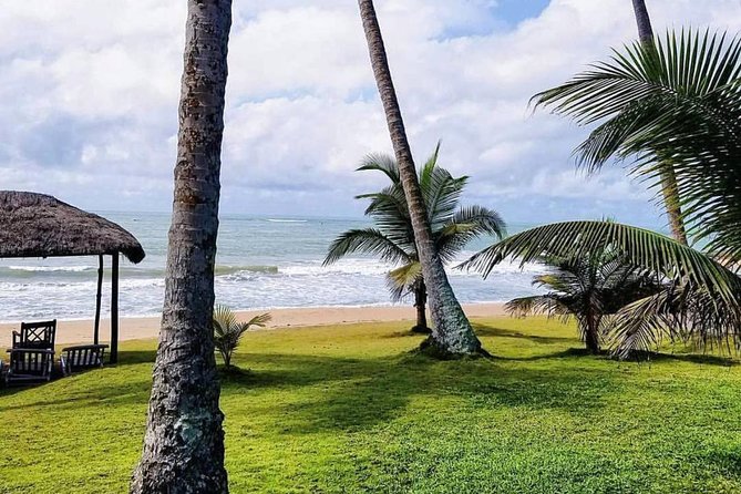 Leisure Trip on the Coast of Ghana - Wildlife and Landscapes Exploration