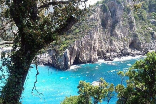 Leisurely Tour of Corfu - Overview of the Tour Experience