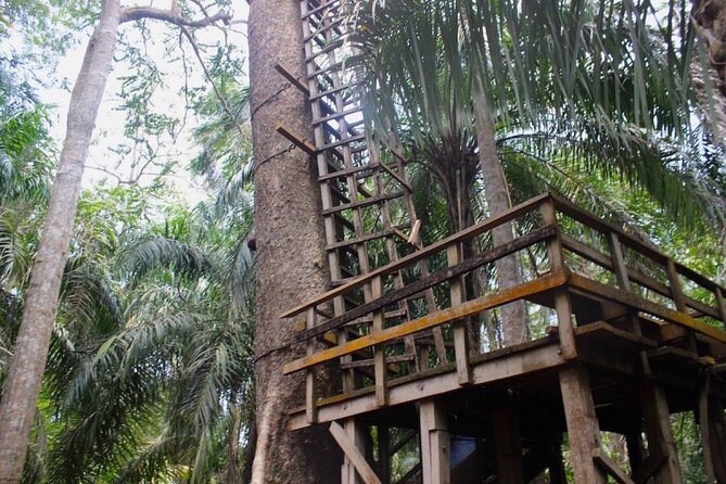 Lekki Conservation Center Extraordinary Tour - Highlights