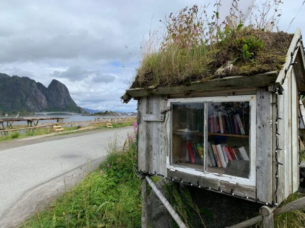 Leknes: 4 Hours Private Exclusive Car Sightseeing in Lofoten - Scenic Coastal Landscapes