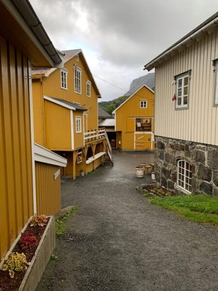 Leknes: 6 Hours Private Exclusive Car Sightseeing in Lofoten - Frequently Asked Questions
