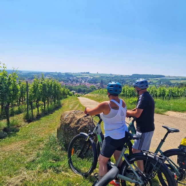 Lembach: Electric bike rental by the day - An In-Depth Look at the Lembach Electric Bike Tour