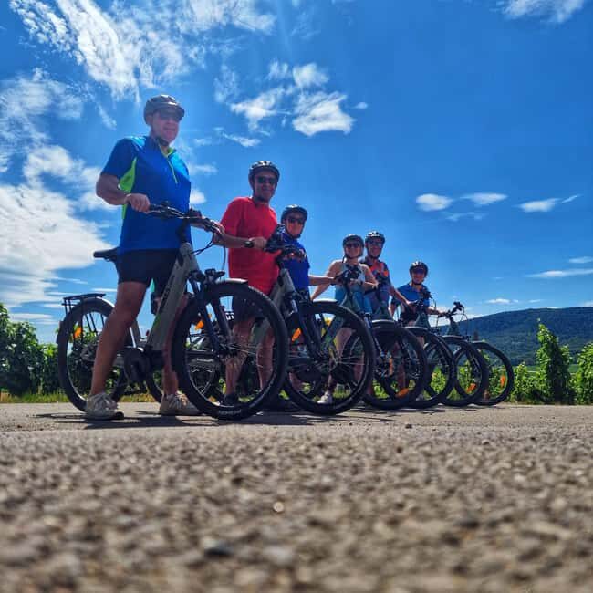 Lembach: Electric bike rental by the day - Who Is This Experience Best For?