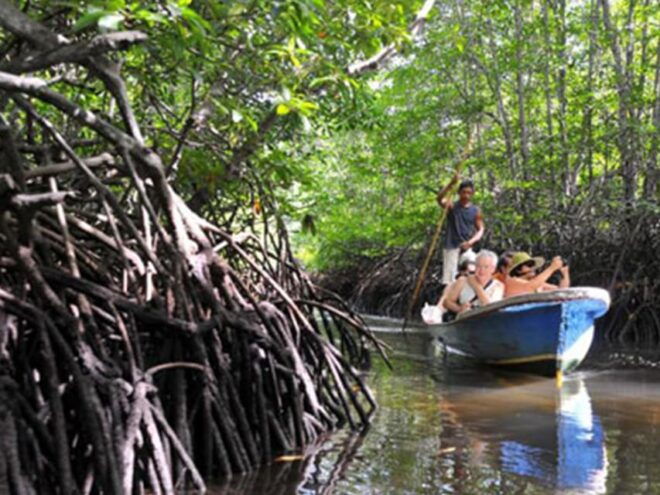 Lembongan : Fully Enjoy! Snorkeling, Sightseeing /1day Tour - Important Information
