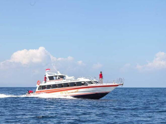 Lembongan : Fully Enjoy! Snorkeling, Sightseeing /1day Tour - Customer Feedback
